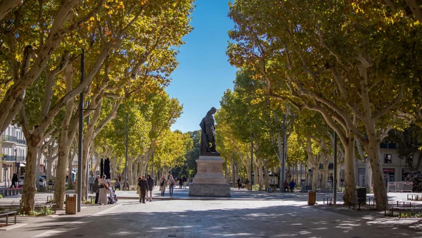 Se balader dans le centre-ville